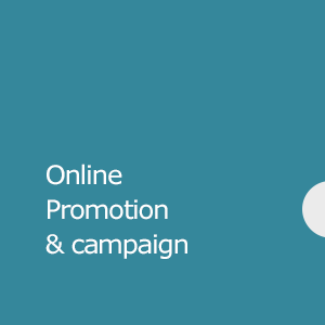Online Promotion & Campaign